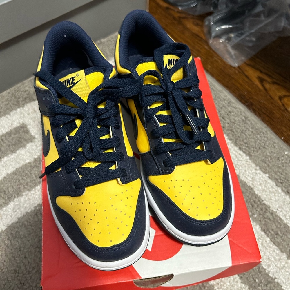 Michigan Nike Dunk Sz 5y (6 women )